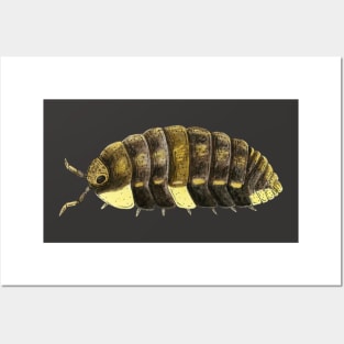 Neotroponiscus lenkoi Isopod Posters and Art